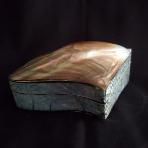 Abalone Paua Paua shell box from New Zealand